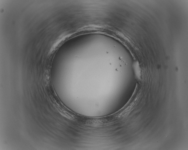 X0000073991355200609111522