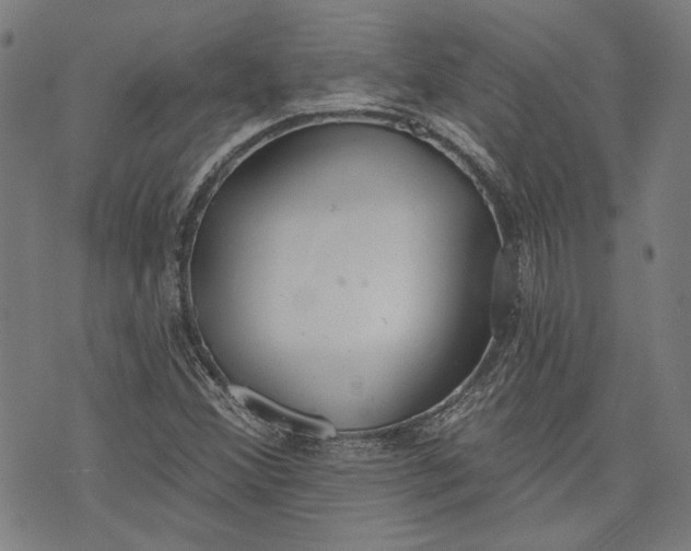 X0000073991356200609111522