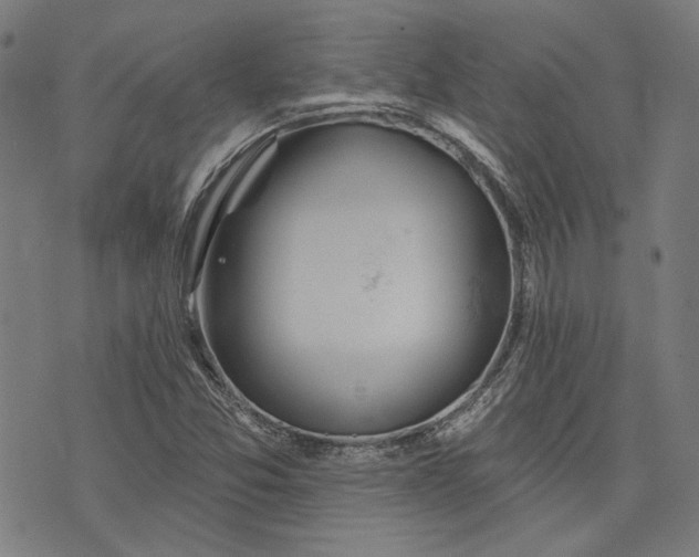 X0000073991357200609111522