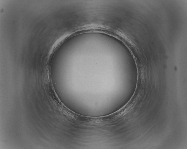 X0000073991358200609111522