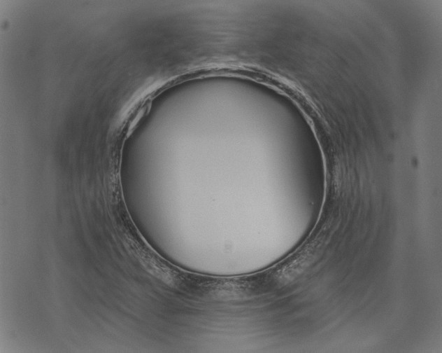 X0000073991359200609111522