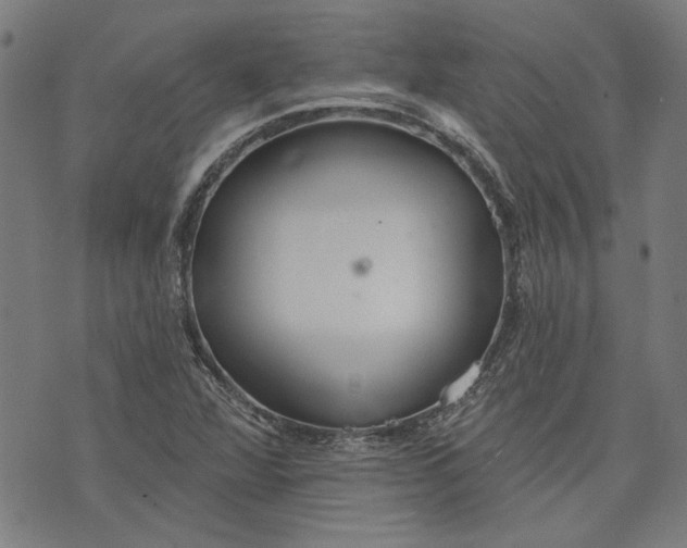 X0000073991360200609111522