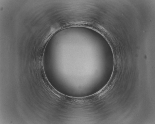 X0000073991361200609111522