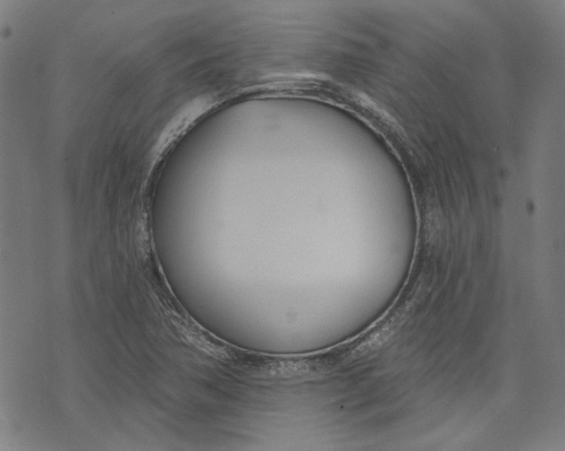 X0000073991362200609111522