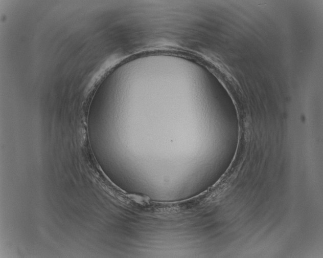 X0000073991363200609111522