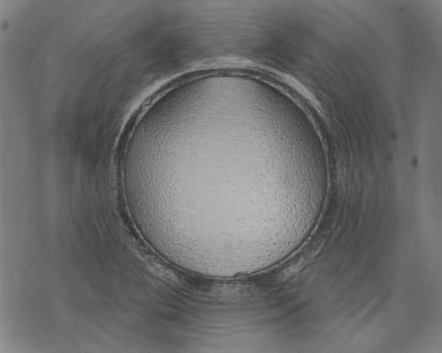 X0000073991364200609111522