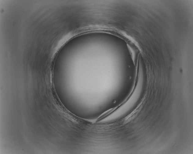 X0000073991365200609111522