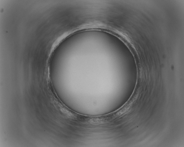 X0000073991366200609111522