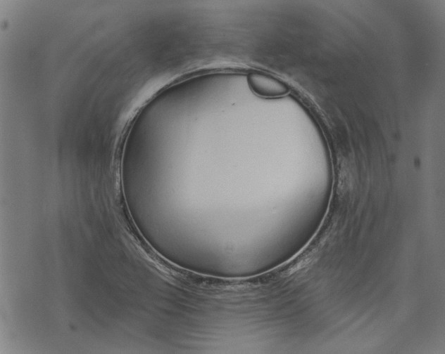 X0000073991367200609111522