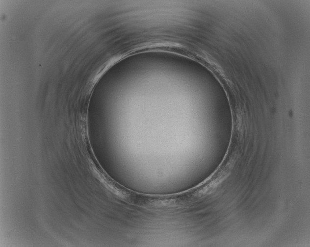 X0000073991369200609111522