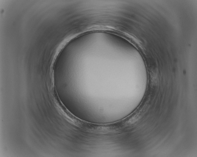 X0000073991371200609111522