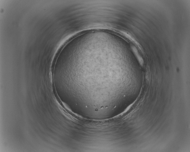 X0000073991372200609111522