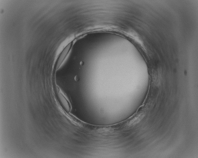 X0000073991373200609111522