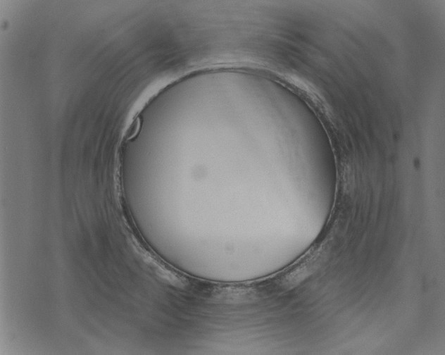 X0000073991374200609111522