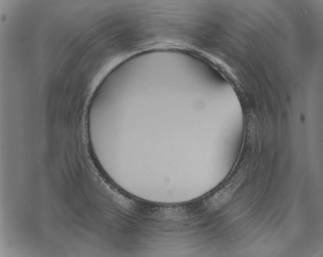 X0000073991375200609111522