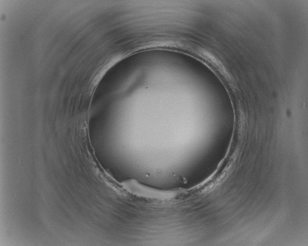 X0000073991377200609111522