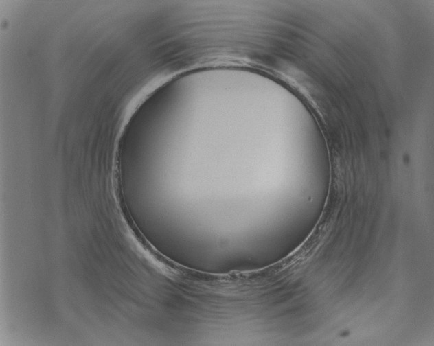 X0000073991379200609111522