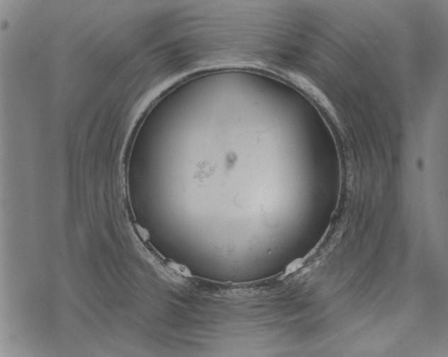 X0000073991380200609111522