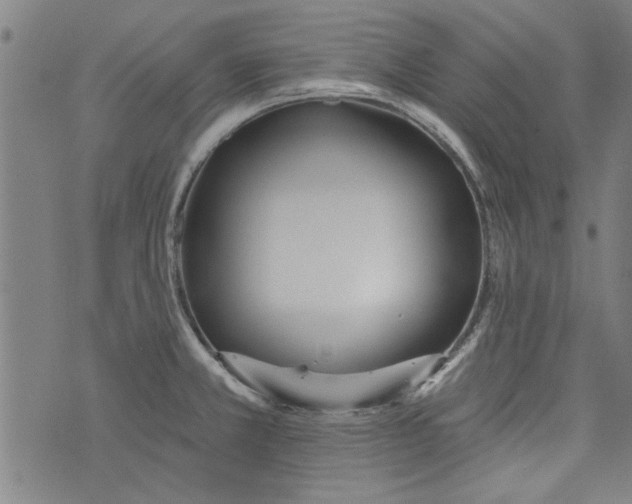 X0000073991381200609111522