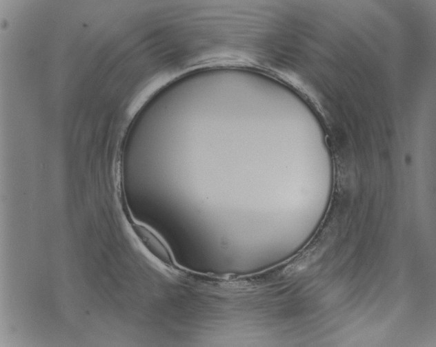 X0000073991383200609111522