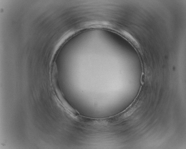 X0000073991384200609111522