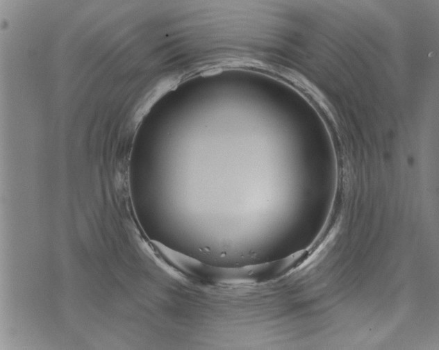 X0000073991385200609111522