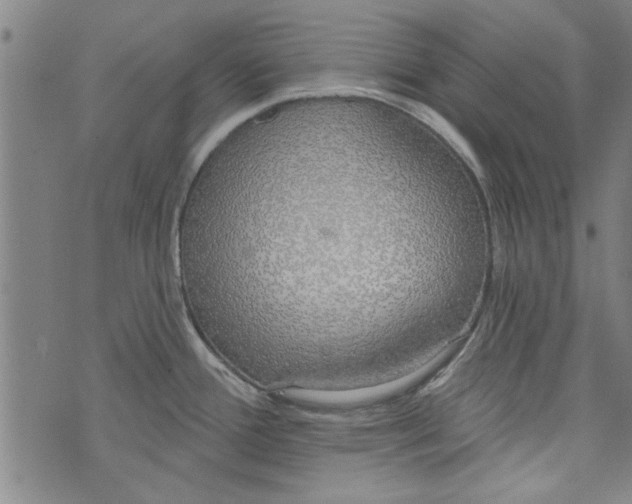 X0000073991388200609111522