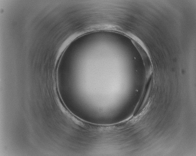 X0000073991389200609111522