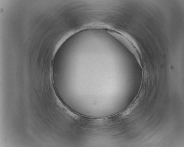 X0000073991390200609111522