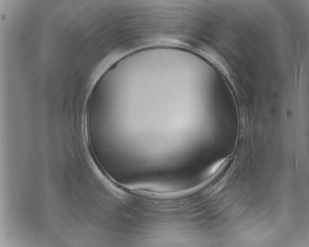 X0000073991391200609111522