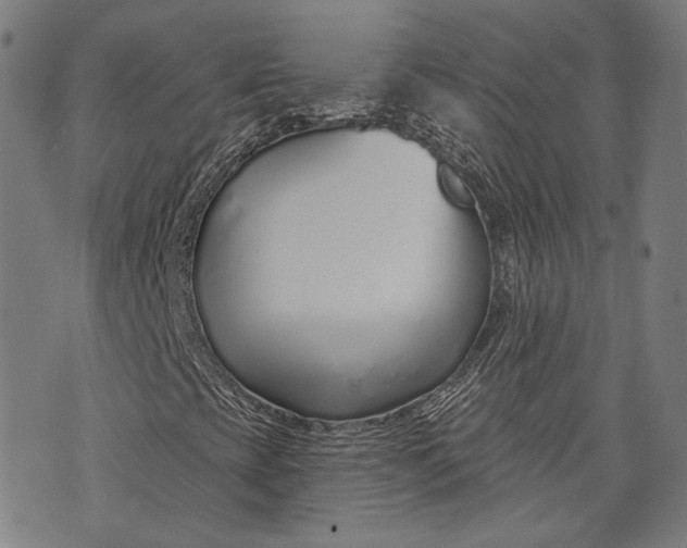 X0000073991393200609111521