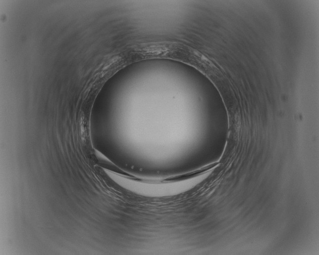 X0000073991394200609111521