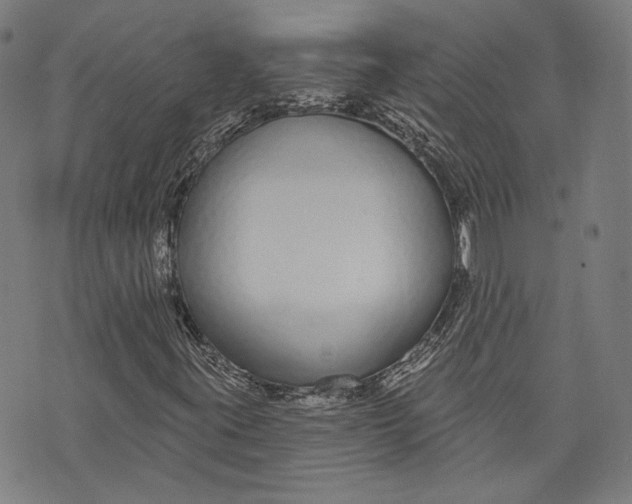 X0000073991395200609111521