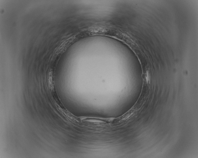 X0000073991396200609111521