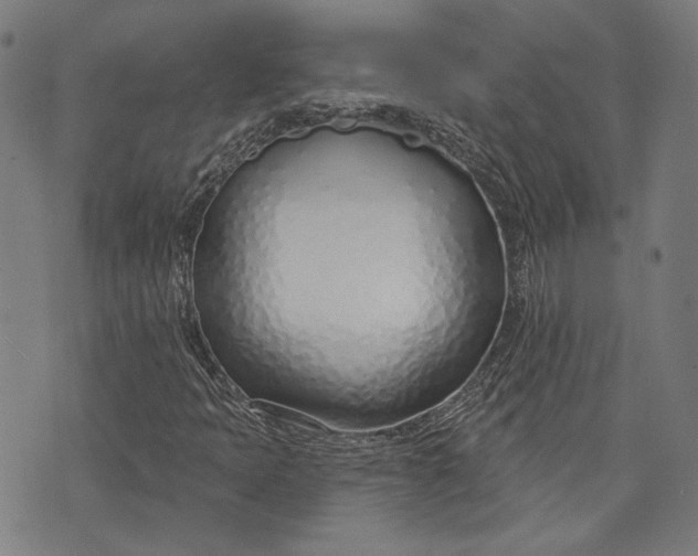 X0000073991397200609111521