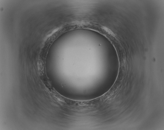 X0000073991398200609111521