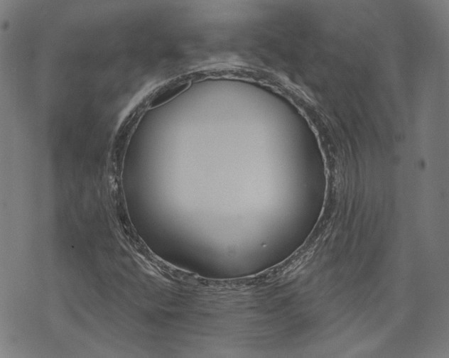 X0000073991400200609111521