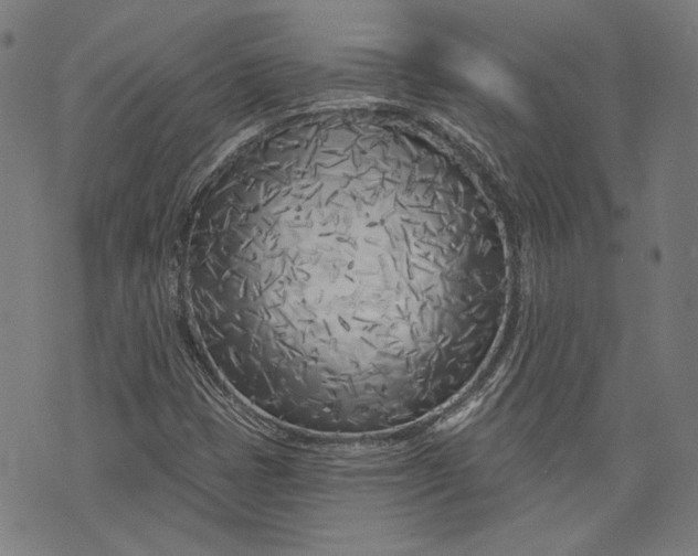 X0000073991401200609111521