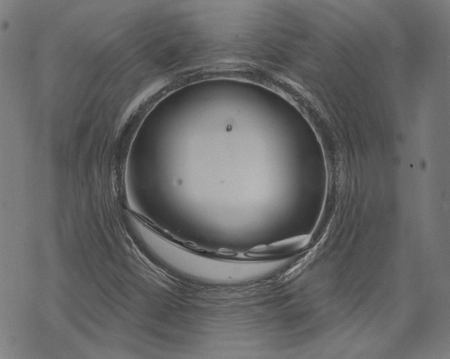 X0000073991402200609111521