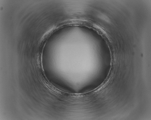 X0000073991403200609111521