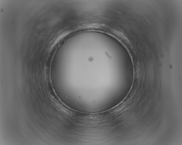 X0000073991404200609111521