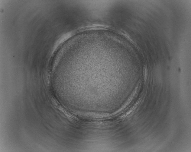 X0000073991405200609111521