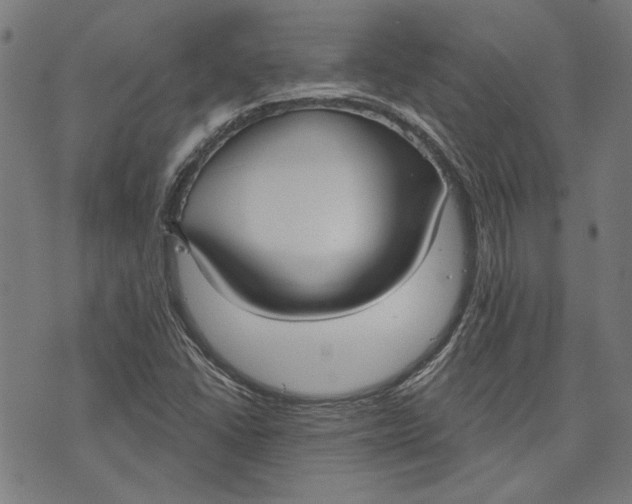 X0000073991406200609111521