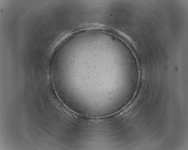 X0000073991407200609111521