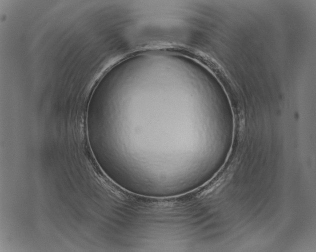 X0000073991409200609111521