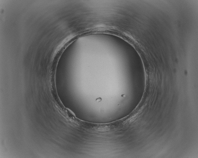 X0000073991410200609111521