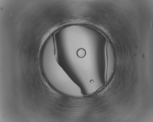 X0000073991414200609111521