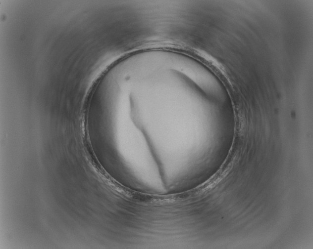 X0000073991415200609111521