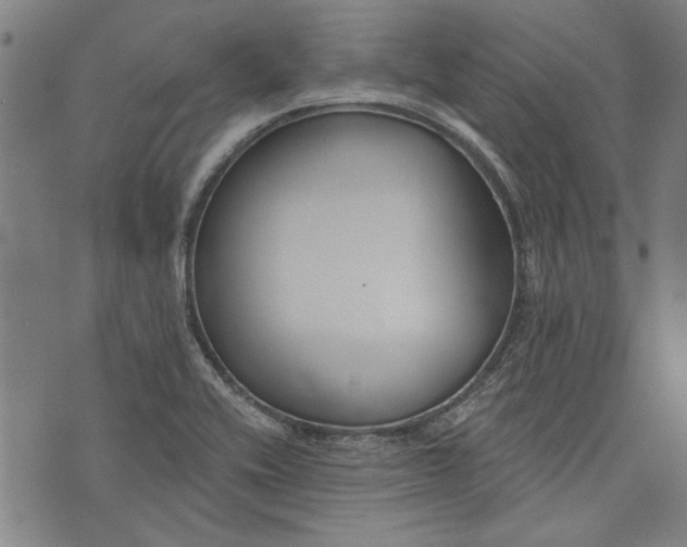 X0000073991416200609111521