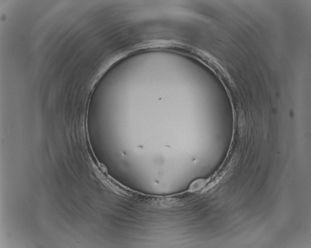 X0000073991417200609111521